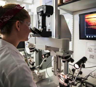 鑑證科學 Forensic science 中小學 課程 工作坊 法證 生物 化學 全方位學習津貼