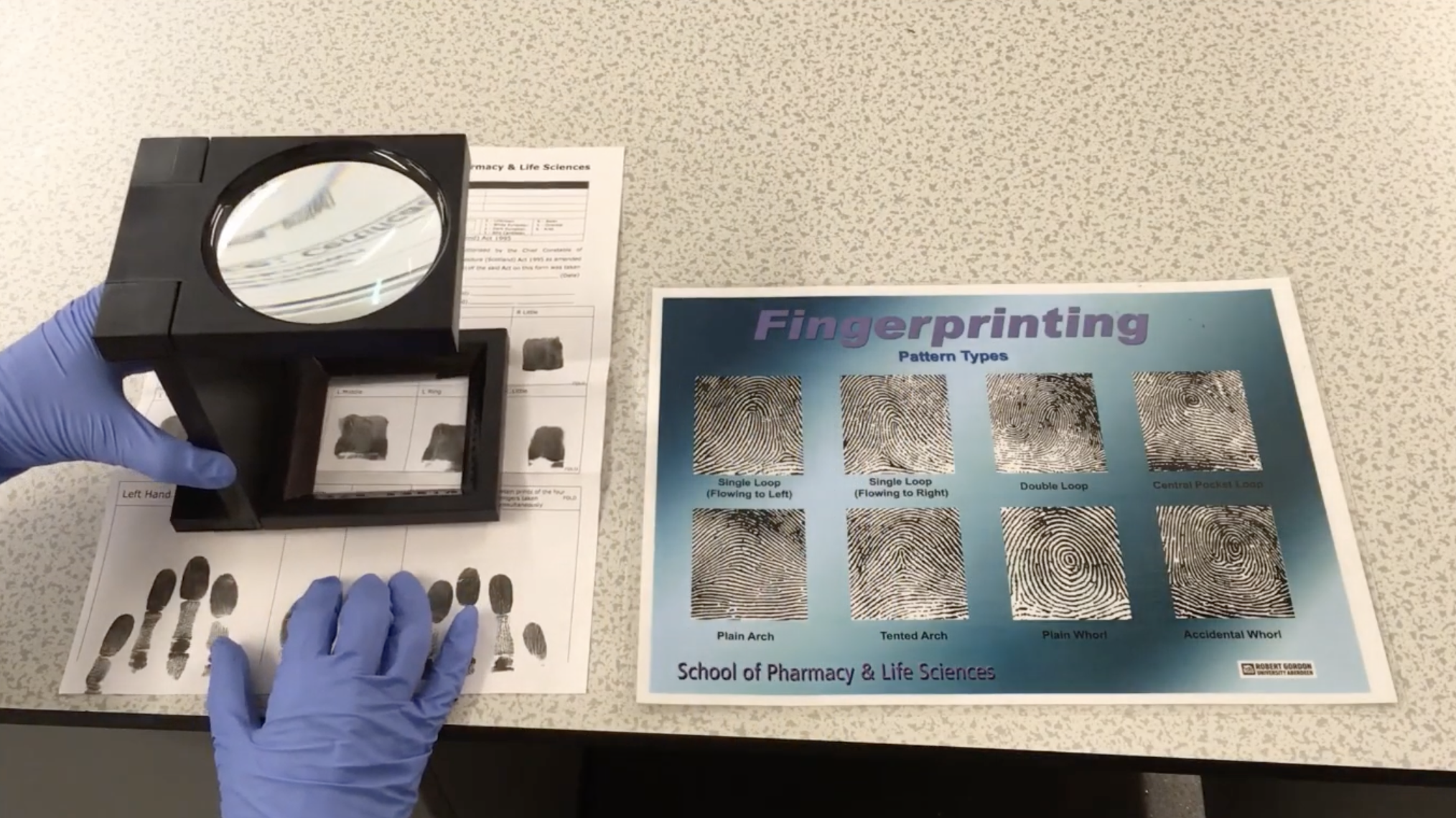 鑑證科學 Forensic science 中小學 課程 工作坊 法證 生物 化學 全方位學習津貼 指紋分析 化驗