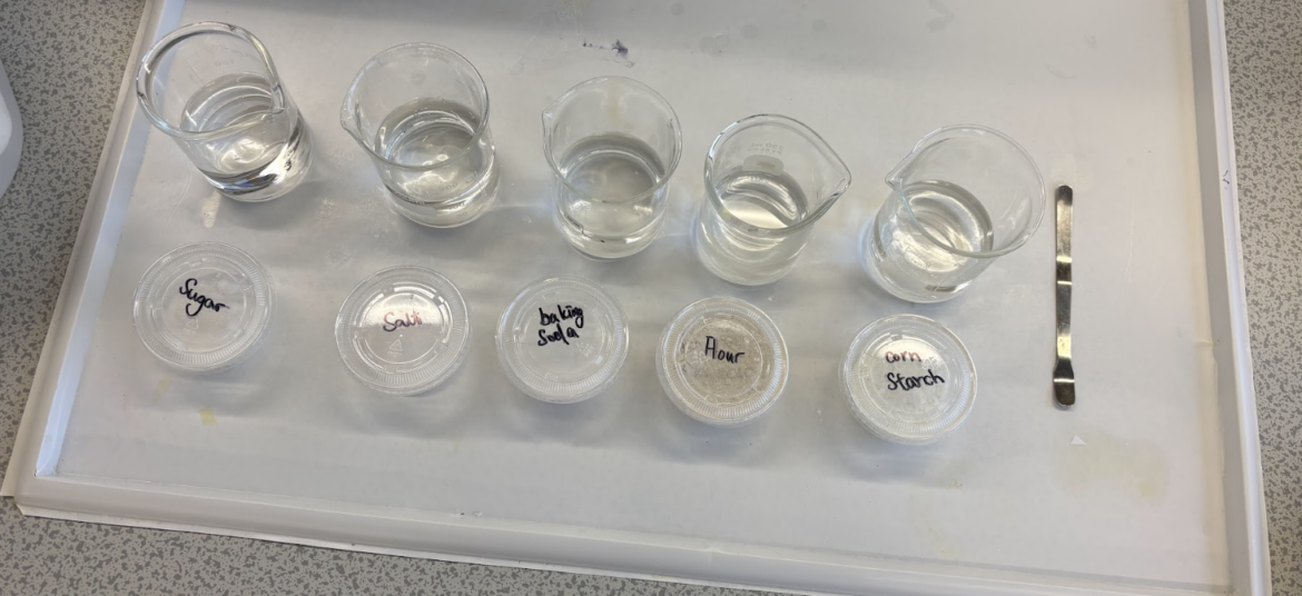 鑑證科學 Forensic science 中小學 課程 工作坊 法證 生物 化學 全方位學習津貼 化驗 毒品分析