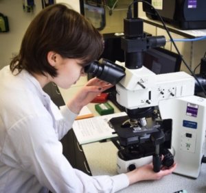 ③銜接RGU本科Year 1