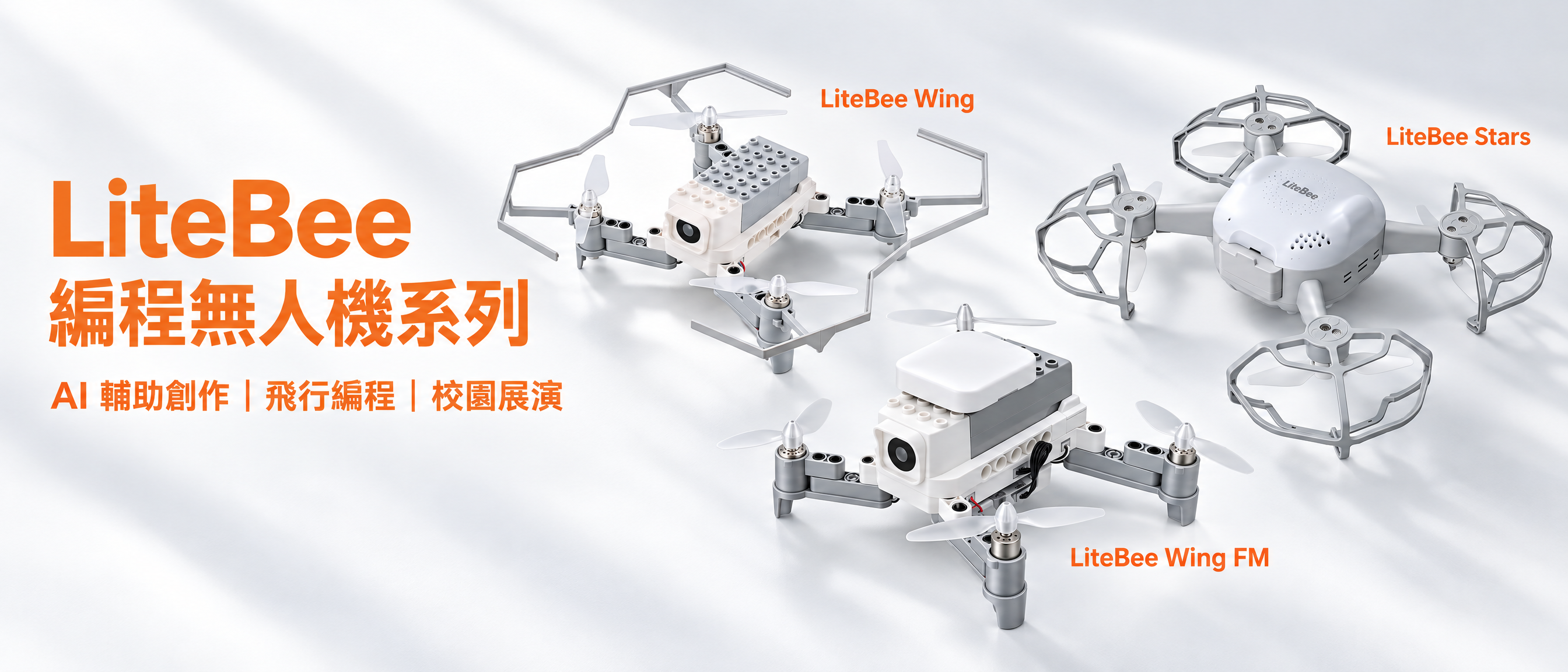 litebee_product_only_professional_banner